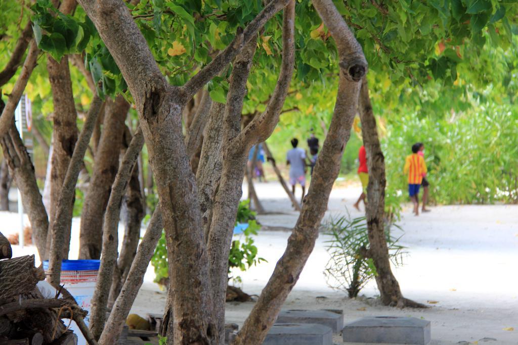 Rip Tide Vacation Inn, K.Guraidhoo Guraidhoo  Buitenkant foto