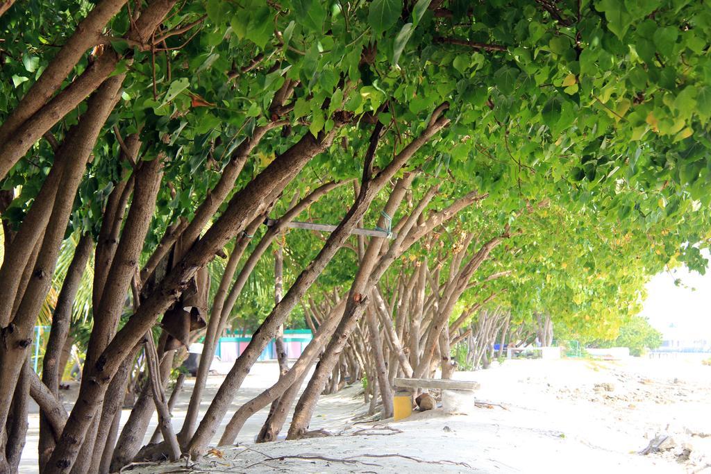 Rip Tide Vacation Inn, K.Guraidhoo Guraidhoo  Buitenkant foto