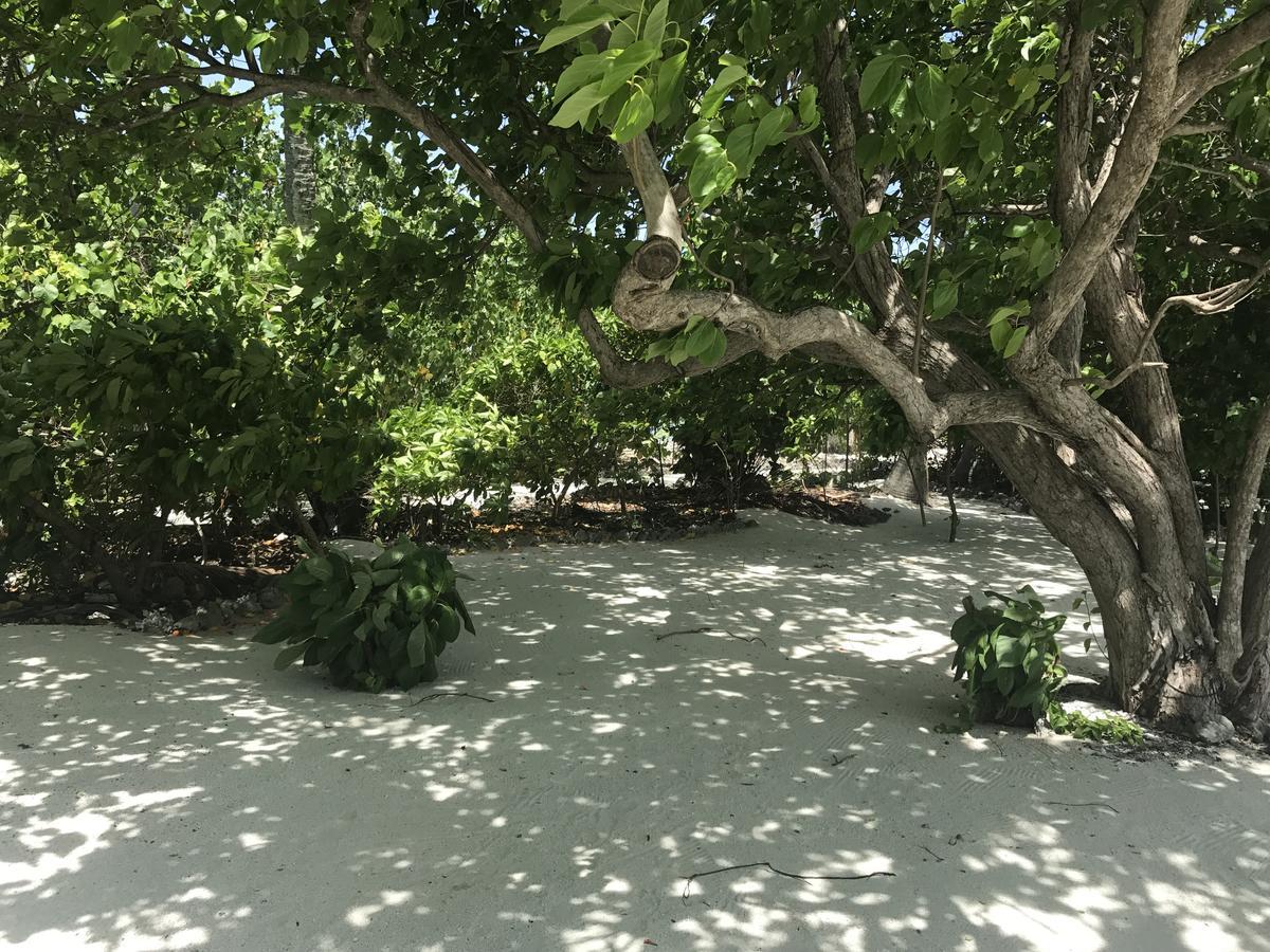 Rip Tide Vacation Inn, K.Guraidhoo Guraidhoo  Buitenkant foto